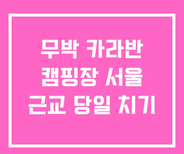 무박 카라반 캠핑장 서울 근교 당일 치기