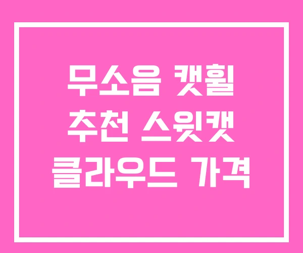 무소음 캣휠 추천 스윗캣 클라우드 가격