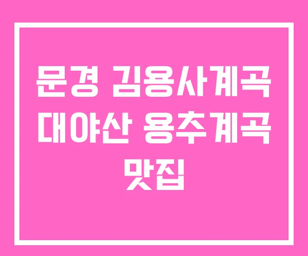 문경 김용사계곡 대야산 용추계곡 맛집