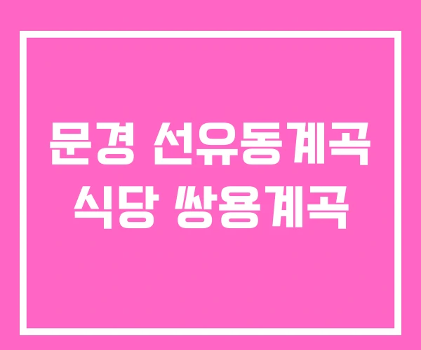 문경 선유동계곡 식당 쌍용계곡 문경 선유동계곡 식당 쌍용계곡