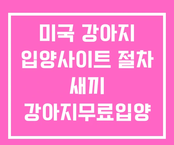 미국 강아지 입양사이트 절차 새끼 강아지무료입양 미국 강아지 입양사이트 절차 새끼 강아지무료입양