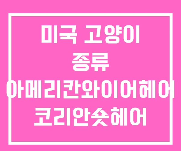 미국 고양이 종류 아메리칸와이어헤어 코리안숏헤어