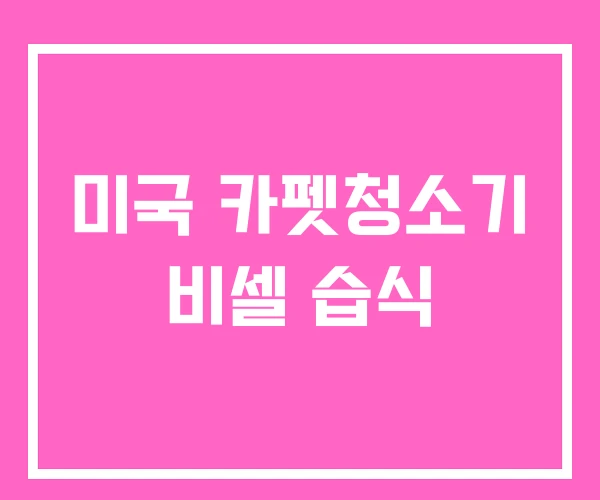 미국 카펫청소기 비셀 습식