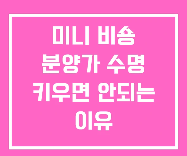미니 비숑 분양가 수명 키우면 안되는 이유