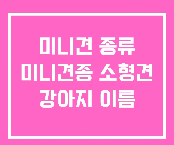 미니견 종류 미니견종 소형견 강아지 이름