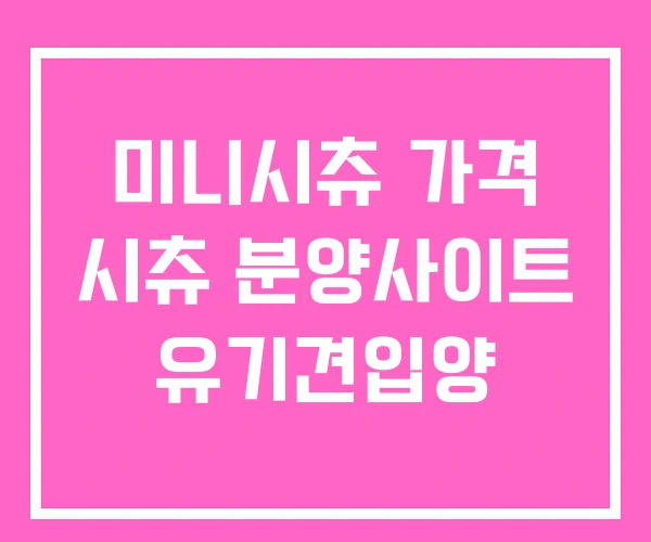 미니시츄 가격 시츄 분양사이트 유기견입양 미니시츄 가격 시츄 분양사이트 유기견입양