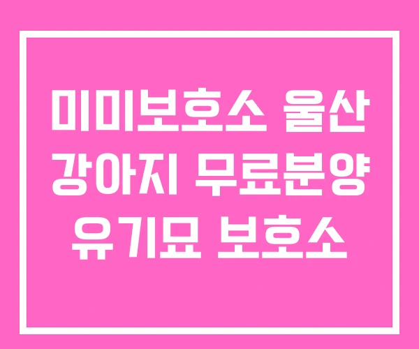 미미보호소 울산 강아지 무료분양 유기묘 보호소 미미보호소 울산 강아지 무료분양 유기묘 보호소