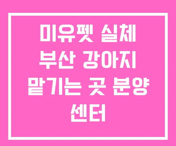 미유펫 실체 부산 강아지 맡기는 곳 분양 센터