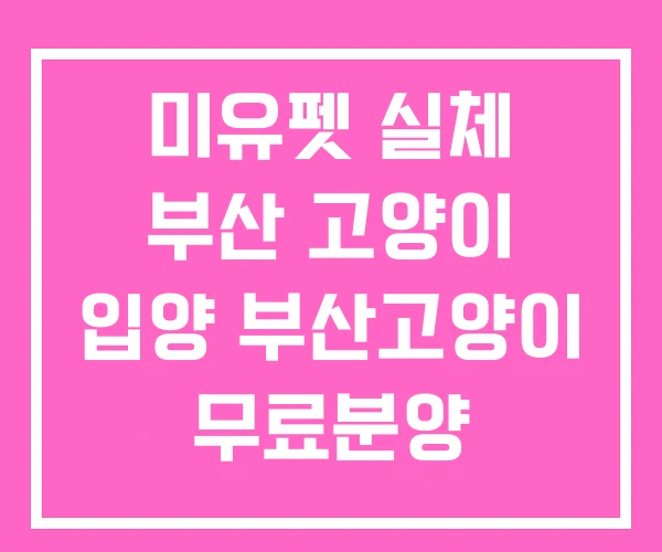 미유펫 실체 부산 고양이 입양 부산고양이 무료분양 미유펫 실체 부산 고양이 입양 부산고양이 무료분양