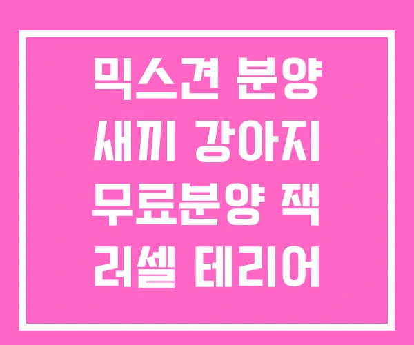 믹스견 분양 새끼 강아지 무료분양 잭 러셀 테리어 무료