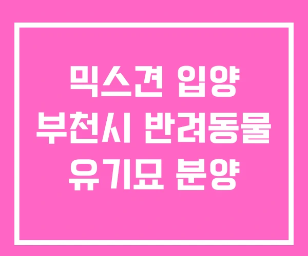 믹스견 입양 부천시 반려동물 유기묘 분양