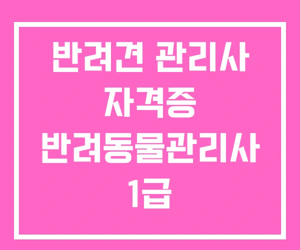 반려견 관리사 자격증 반려동물관리사 1급 반려견 관리사 자격증 반려동물관리사 1급