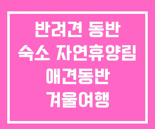 반려견 동반 숙소 자연휴양림 애견동반 겨울여행