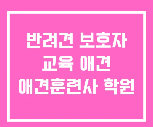 반려견 보호자 교육 애견 애견훈련사 학원 반려견 보호자 교육 애견 애견훈련사 학원