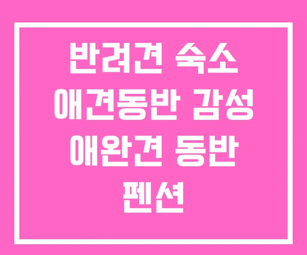 반려견 숙소 애견동반 감성 애완견 동반 펜션