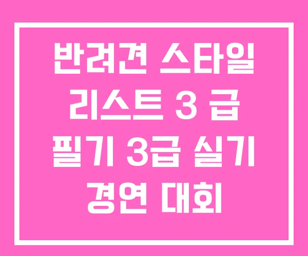 반려견 스타일 리스트 3 급 필기 3급 실기 경연 대회 반려견 스타일 리스트 3 급 필기 3급 실기 경연 대회