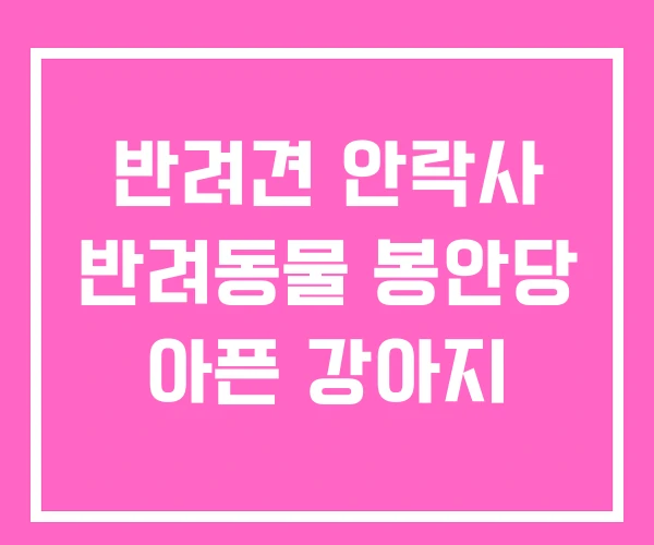 반려견 안락사 반려동물 봉안당 아픈 강아지 반려견 안락사 반려동물 봉안당 아픈 강아지