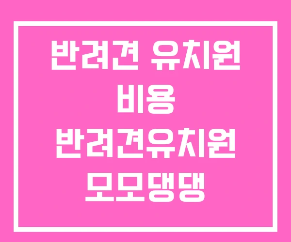 반려견 유치원 비용 반려견유치원 모모댕댕 반려견 유치원 비용 반려견유치원 모모댕댕