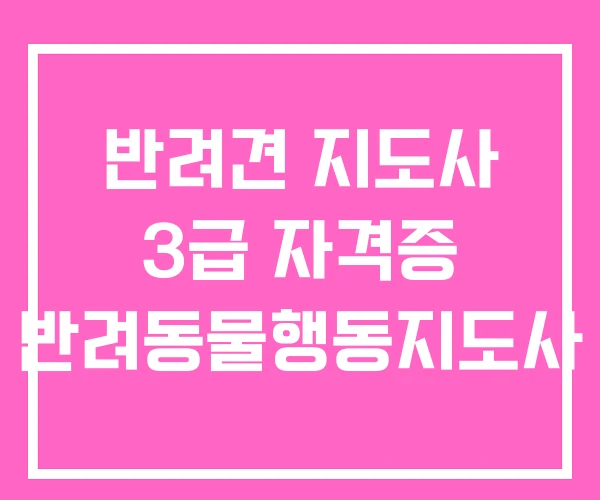 반려견 지도사 3급 자격증 반려동물행동지도사 반려견 지도사 3급 자격증 반려동물행동지도사