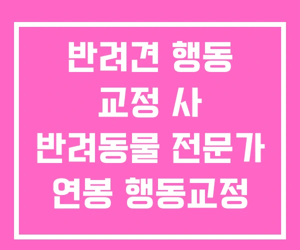 반려견 행동 교정 사 반려동물 전문가 연봉 행동교정