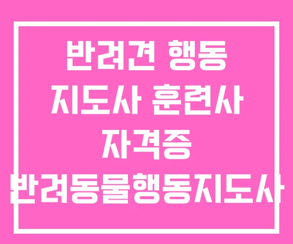 반려견 행동 지도사 훈련사 자격증 반려동물행동지도사 2급 반려견 행동 지도사 훈련사 자격증 반려동물행동지도사 2급