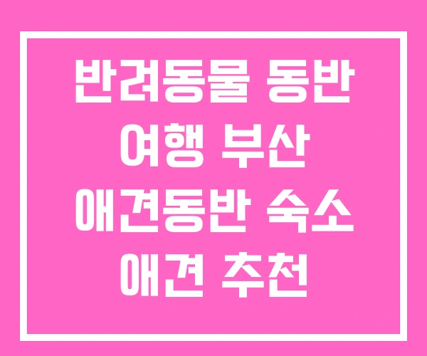 반려동물 동반 여행 부산 애견동반 숙소 애견 추천 반려동물 동반 여행 부산 애견동반 숙소 애견 추천