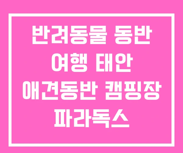 반려동물 동반 여행 태안 애견동반 캠핑장 파라독스 반려동물 동반 여행 태안 애견동반 캠핑장 파라독스