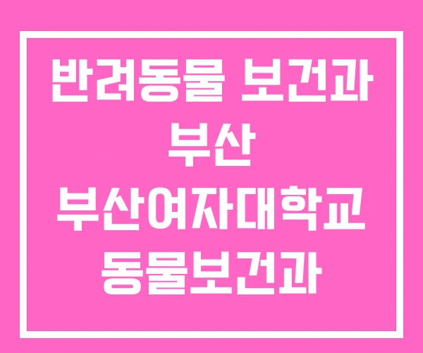 반려동물 보건과 부산 부산여자대학교 동물보건과 영진전문대