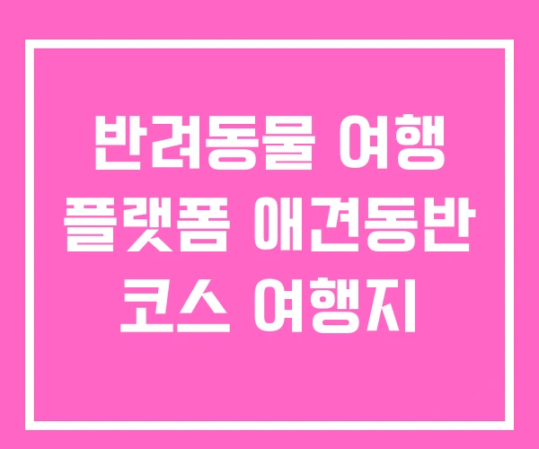 반려동물 여행 플랫폼 애견동반 코스 여행지