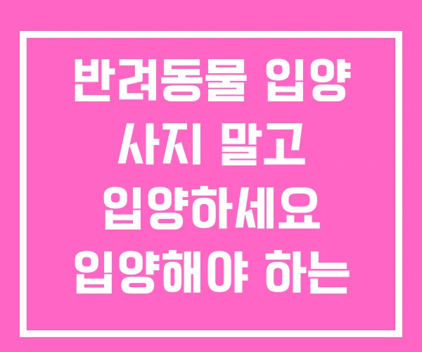 반려동물 입양 사지 말고 입양하세요 입양해야 하는 이유 반려동물 입양 사지 말고 입양하세요 입양해야 하는 이유