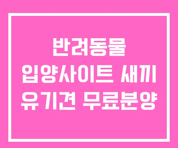 반려동물 입양사이트 새끼 유기견 무료분양