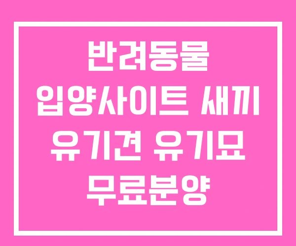 반려동물 입양사이트 새끼 유기견 유기묘 무료분양