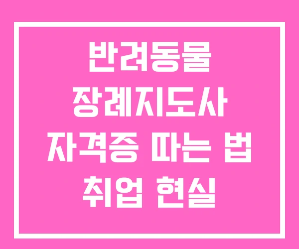 반려동물 장례지도사 자격증 따는 법 취업 현실 반려동물 장례지도사 자격증 따는 법 취업 현실
