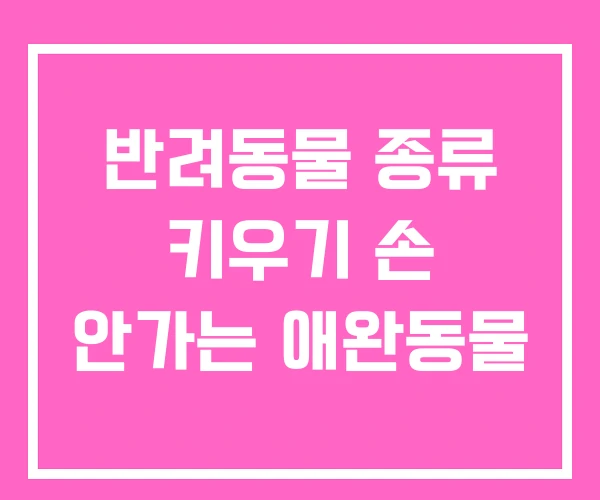 반려동물 종류 키우기 손 안가는 애완동물