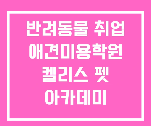 반려동물 취업 애견미용학원 켈리스 펫 아카데미 반려동물 취업 애견미용학원 켈리스 펫 아카데미