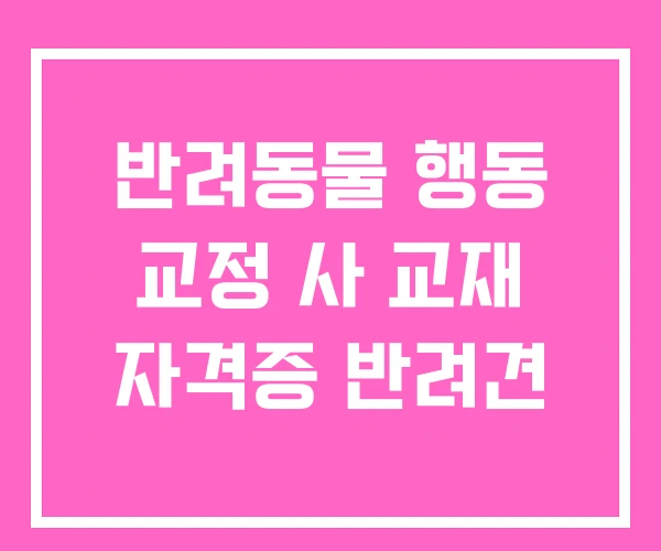 반려동물 행동 교정 사 교재 자격증 반려견