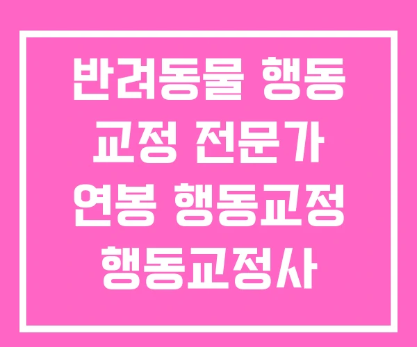 반려동물 행동 교정 전문가 연봉 행동교정 행동교정사 반려동물 행동 교정 전문가 연봉 행동교정 행동교정사