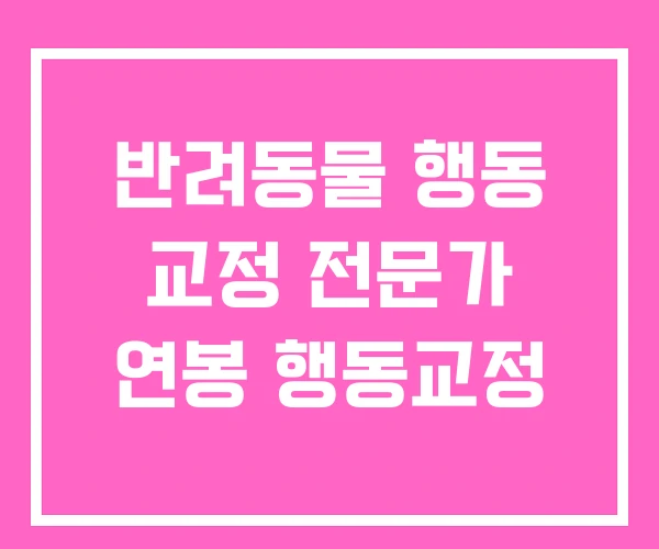 반려동물 행동 교정 전문가 연봉 행동교정 반려동물 행동 교정 전문가 연봉 행동교정