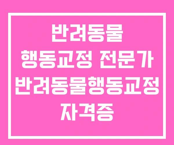 반려동물 행동교정 전문가 반려동물행동교정 자격증 반려동물 행동교정 전문가 반려동물행동교정 자격증