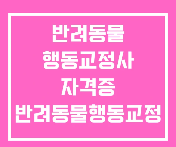 반려동물 행동교정사 자격증 반려동물행동교정 교재 반려동물 행동교정사 자격증 반려동물행동교정 교재