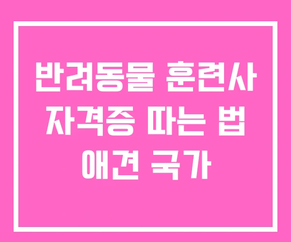 반려동물 훈련사 자격증 따는 법 애견 국가 반려동물 훈련사 자격증 따는 법 애견 국가