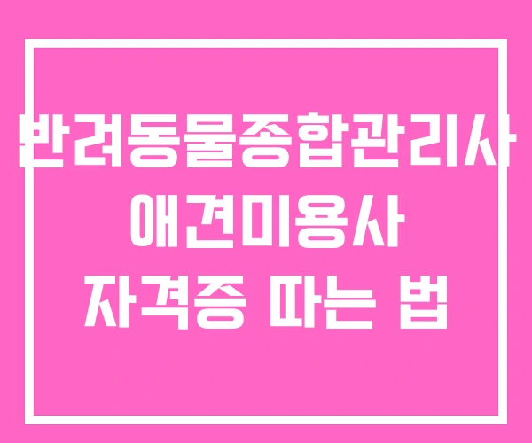 반려동물종합관리사 애견미용사 자격증 따는 법
