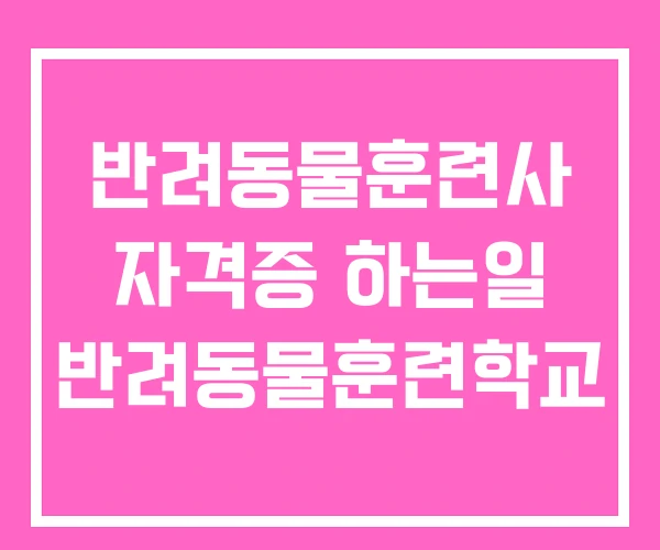 반려동물훈련사 자격증 하는일 반려동물훈련학교 반려동물훈련사 자격증 하는일 반려동물훈련학교
