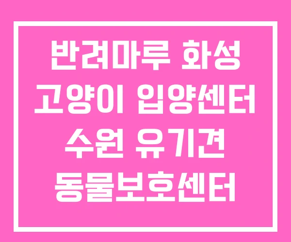 반려마루 화성 고양이 입양센터 수원 유기견 동물보호센터 반려마루 화성 고양이 입양센터 수원 유기견 동물보호센터
