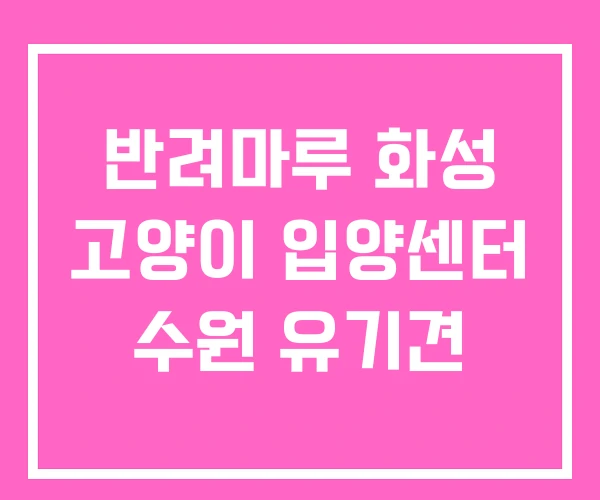 반려마루 화성 고양이 입양센터 수원 유기견 반려마루 화성 고양이 입양센터 수원 유기견