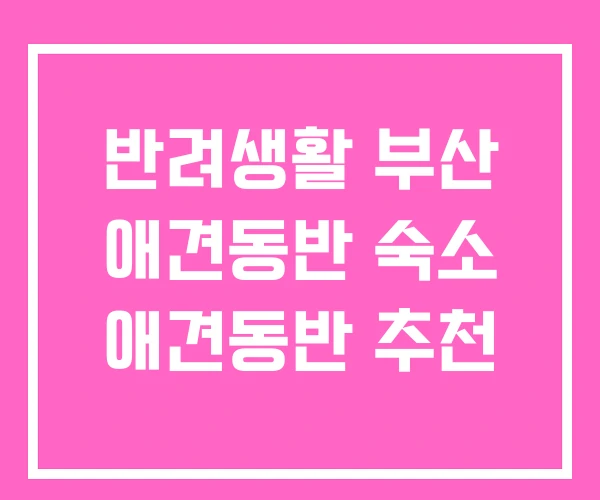 반려생활 부산 애견동반 숙소 애견동반 추천