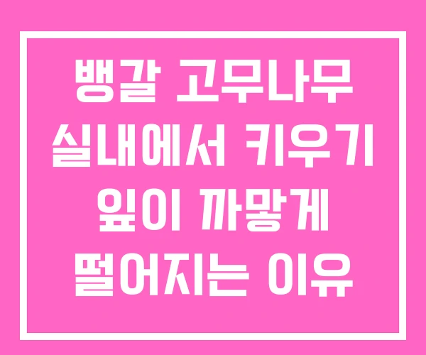 뱅갈 고무나무 실내에서 키우기 잎이 까맣게 떨어지는 이유 뱅갈 고무나무 실내에서 키우기 잎이 까맣게 떨어지는 이유