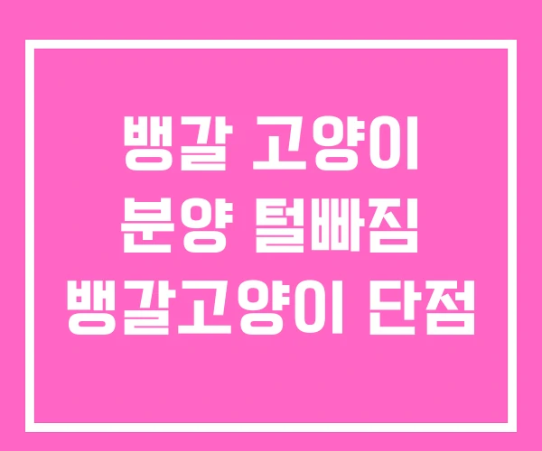 뱅갈 고양이 분양 털빠짐 뱅갈고양이 단점 뱅갈 고양이 분양 털빠짐 뱅갈고양이 단점