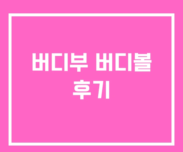 버디부 버디볼 후기 버디부 버디볼 후기
