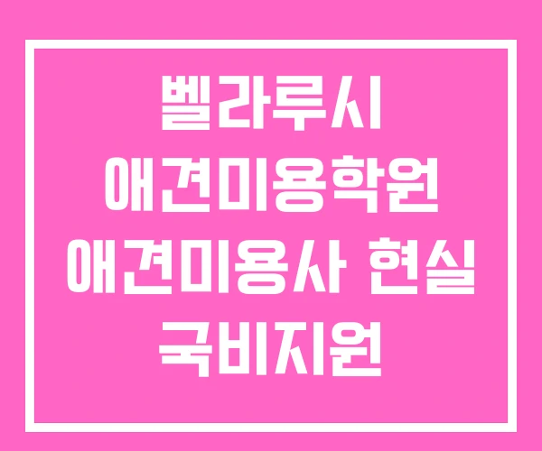 벨라루시 애견미용학원 애견미용사 현실 국비지원 벨라루시 애견미용학원 애견미용사 현실 국비지원